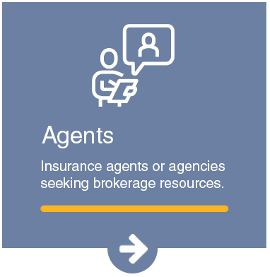 Insurance agents or agencies seeking brokerage resources. 