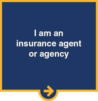 I am an insurance agent. 